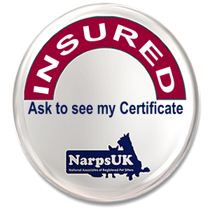 Insured Chesterfield Chesterfield Dog Walker and Pet Sitter 